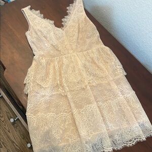 BCBG Lace Sleeveless Dress